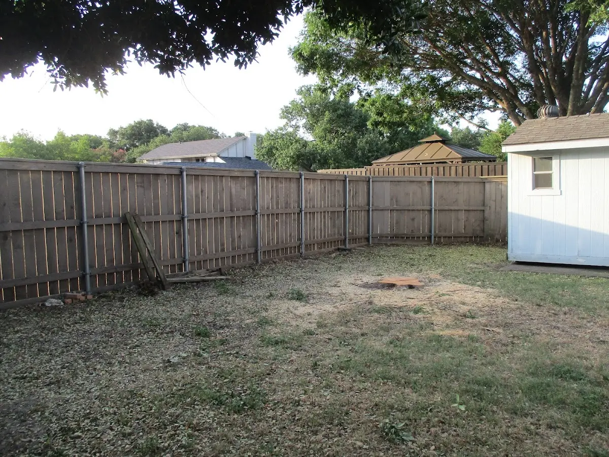 Cleared yard after professional tree removal in Cadiz